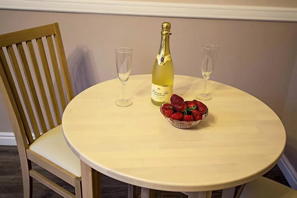 Champagne Studio With Sauna Praag Tsjechië