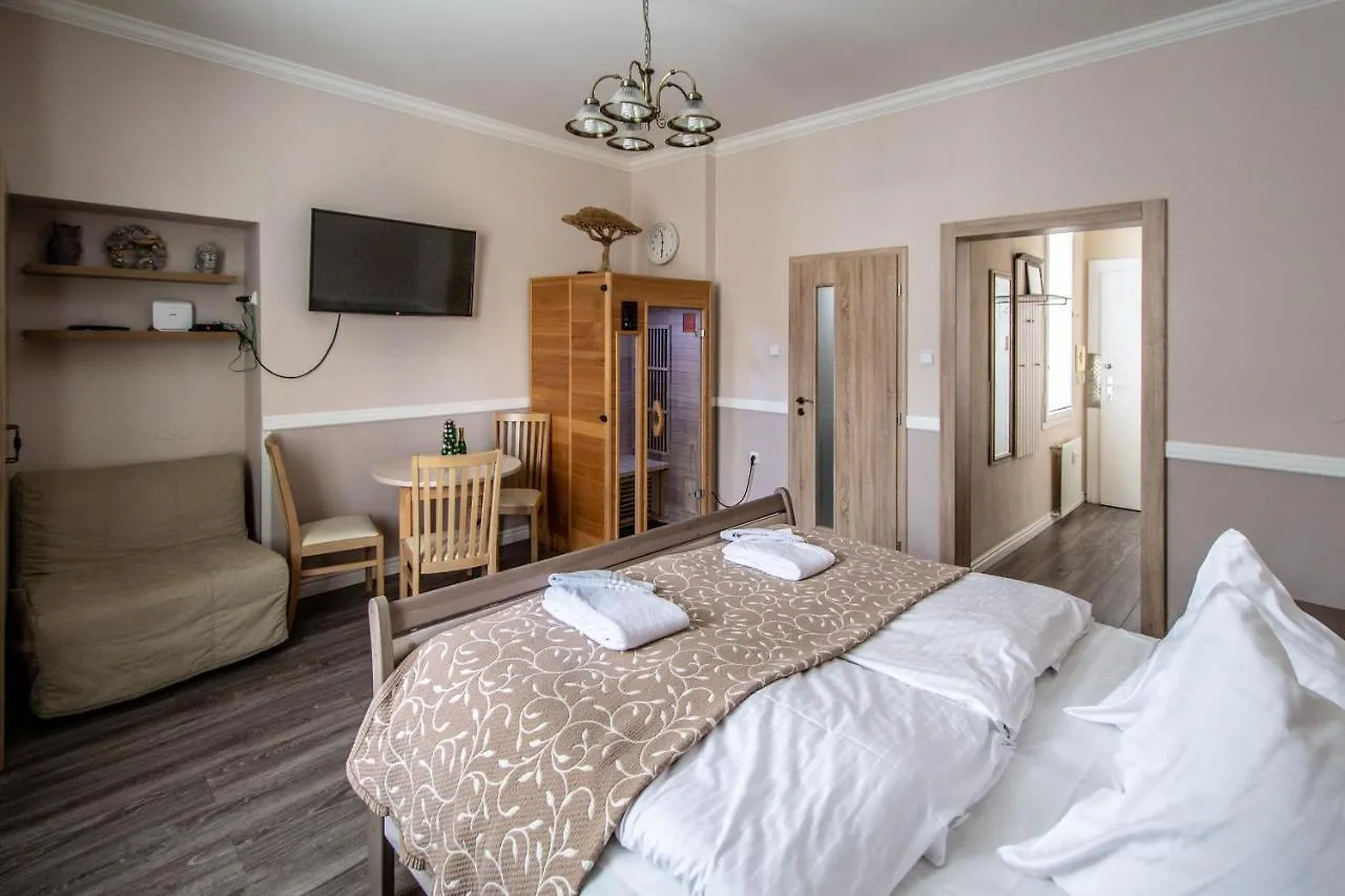 Champagne Studio With Sauna Praag Tsjechië
